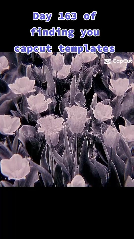 TikTok video thumbnail by cap_cut_templates__