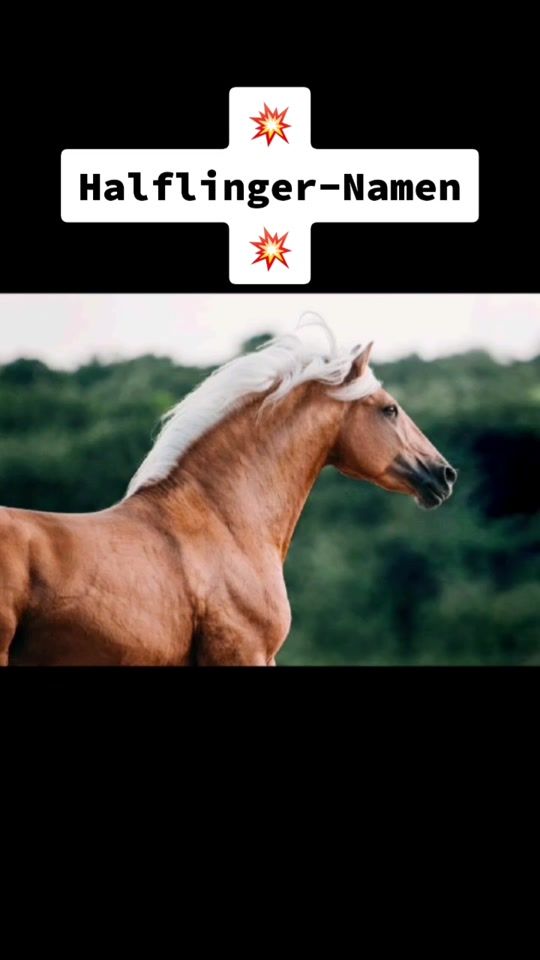 TikTok video thumbnail by .pferde_namen