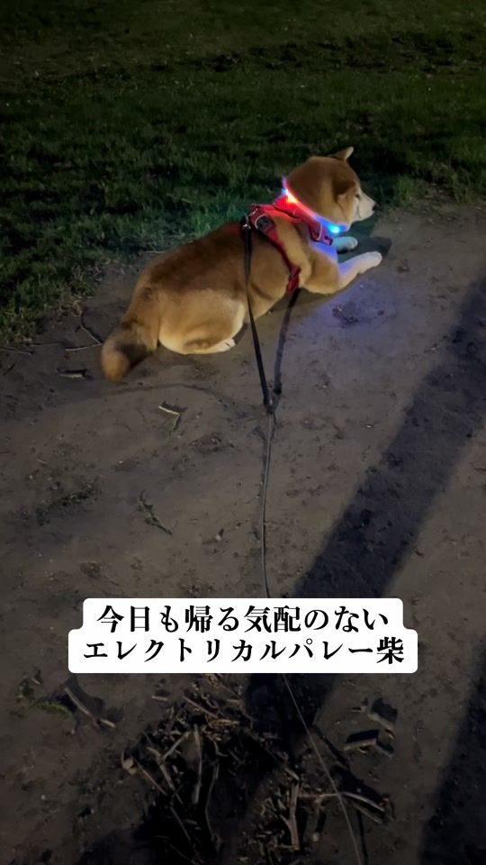 TikTok video thumbnail by ichimaru425