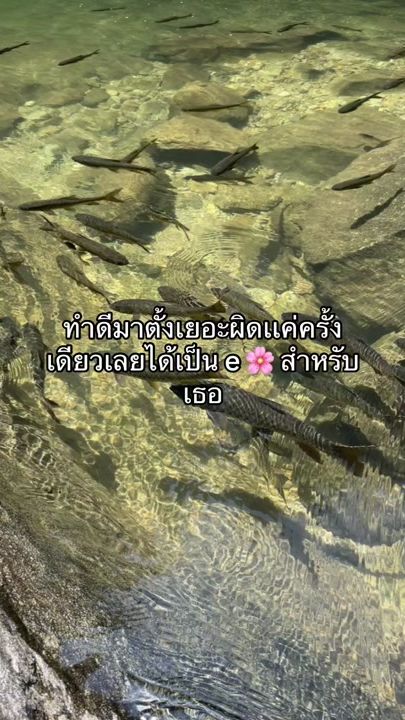 TikTok video thumbnail by mxn.idd