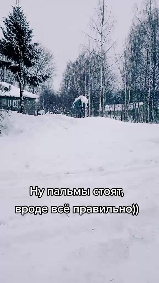 TikTok video thumbnail by calypso_44