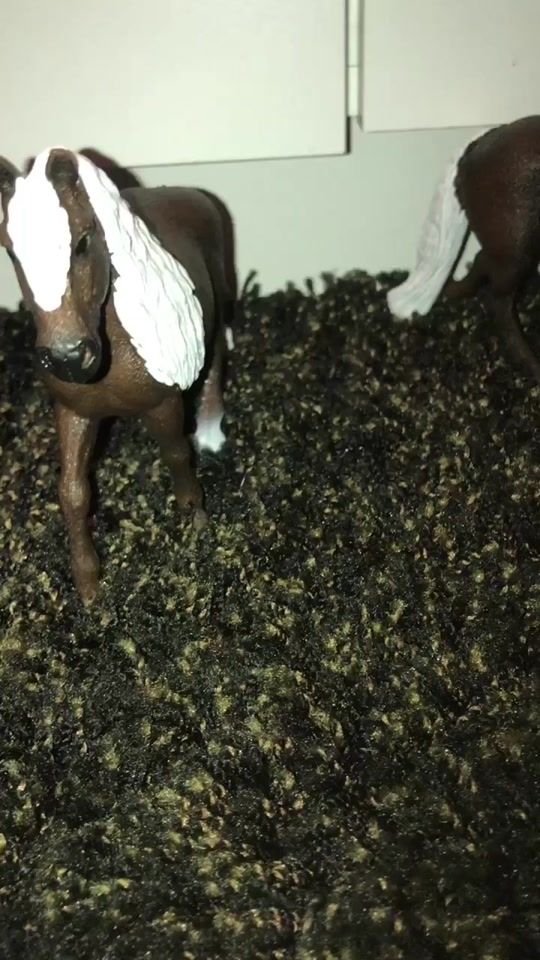 TikTok video thumbnail by schleich.paarden_xxx