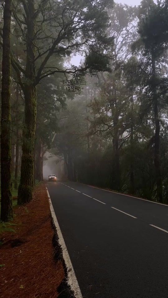 TikTok video thumbnail by bornto.travel
