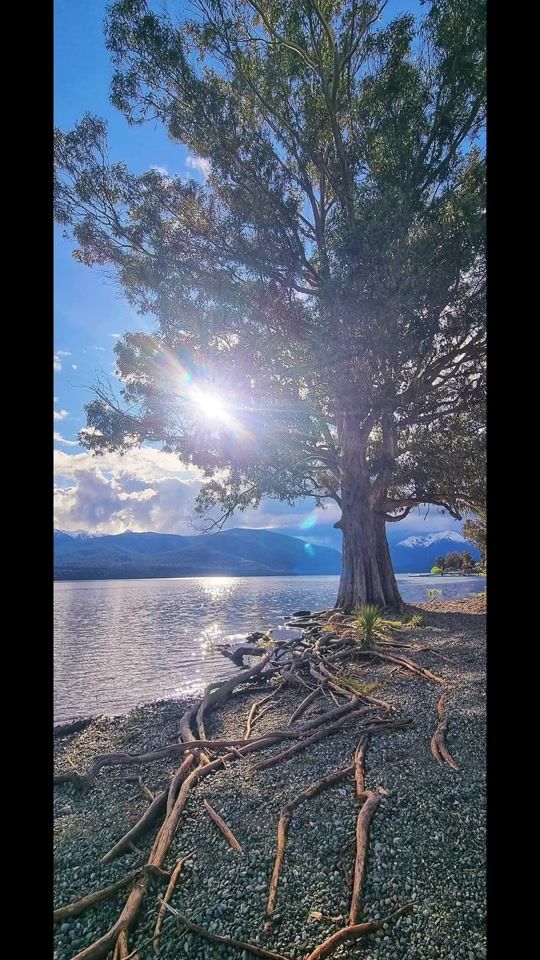 TikTok video thumbnail by shakiza6