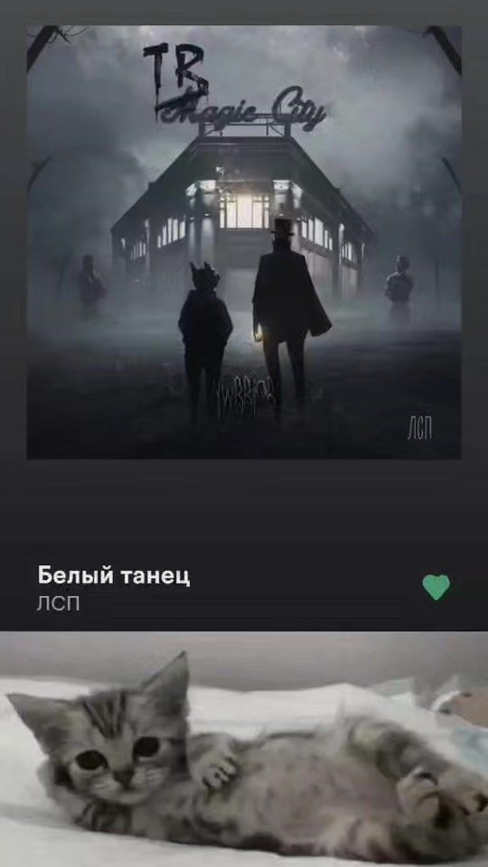TikTok video thumbnail by ska1oso