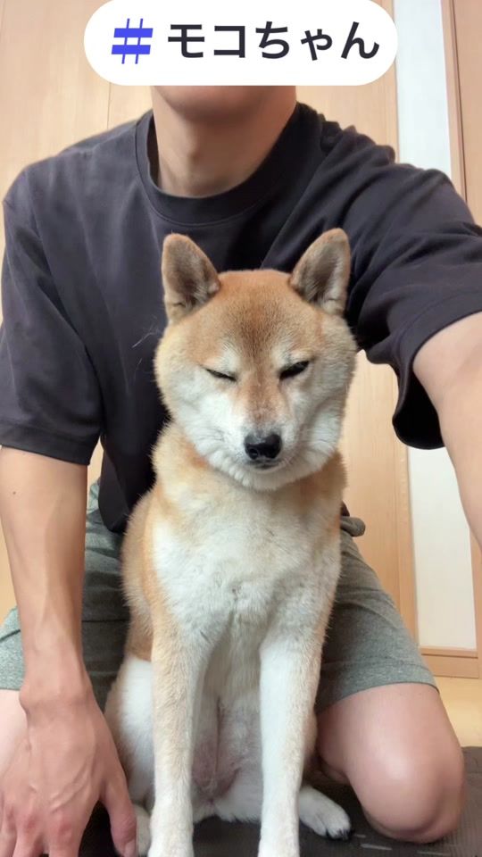 TikTok video thumbnail by mocoty555