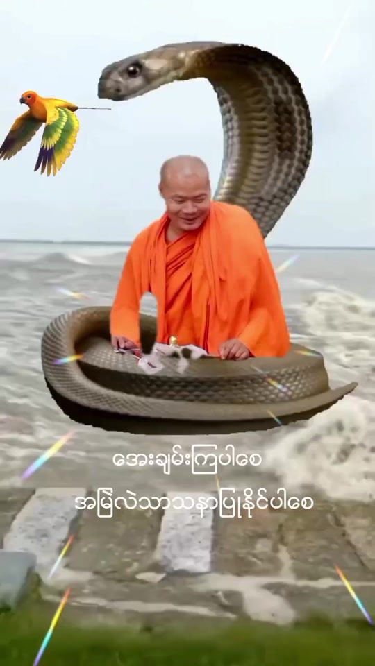 TikTok video thumbnail by user16859579977953