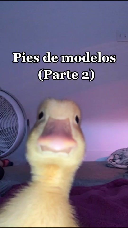 TikTok video thumbnail by viap06
