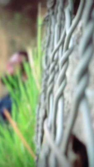 TikTok video thumbnail by thanu_shan_629