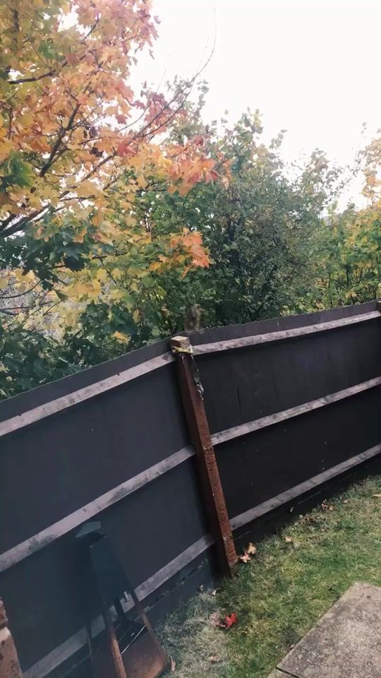 TikTok video thumbnail by dorianzagorski