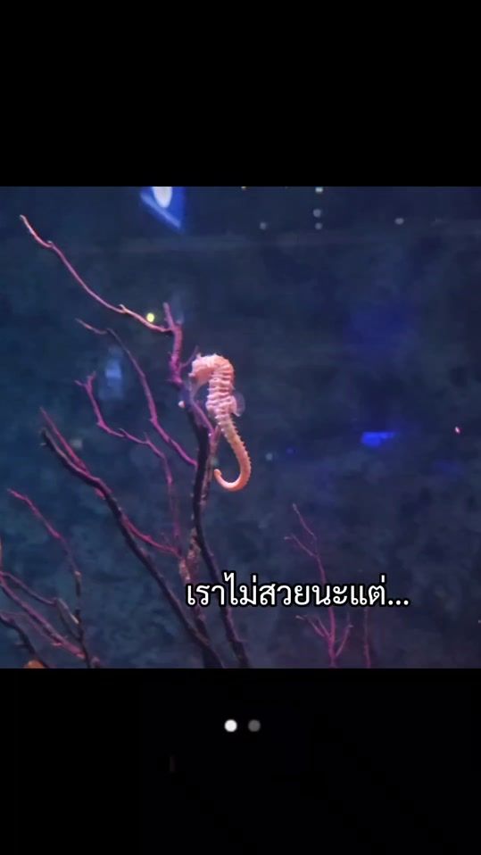 TikTok video thumbnail by ann.swd