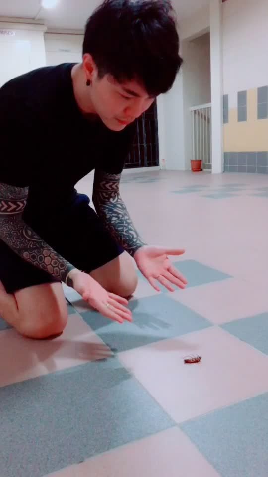 TikTok video thumbnail by kenzefizz318