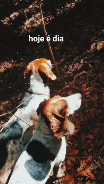 TikTok video thumbnail by ramyresrangel