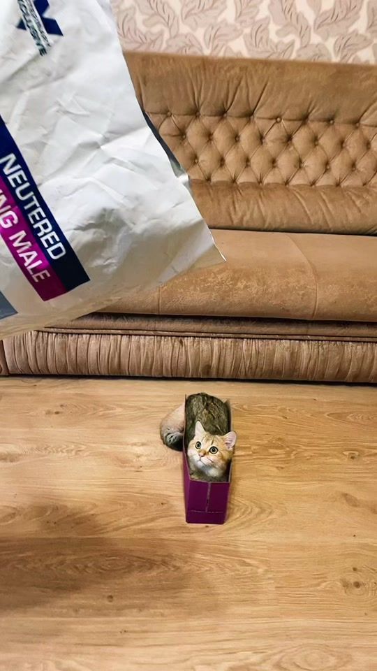 TikTok video thumbnail by romeo_duk