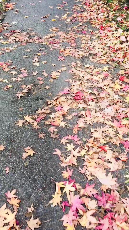 TikTok video thumbnail by hallianahmed