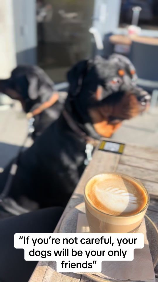 TikTok video thumbnail by harleyandchop