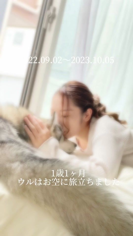 TikTok video thumbnail by hana_mimi_uru_muu
