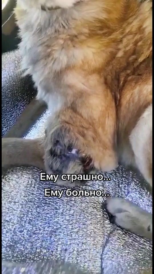 TikTok video thumbnail by an.lagom