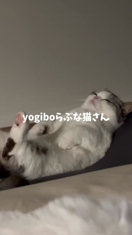 TikTok video thumbnail by popo.0127