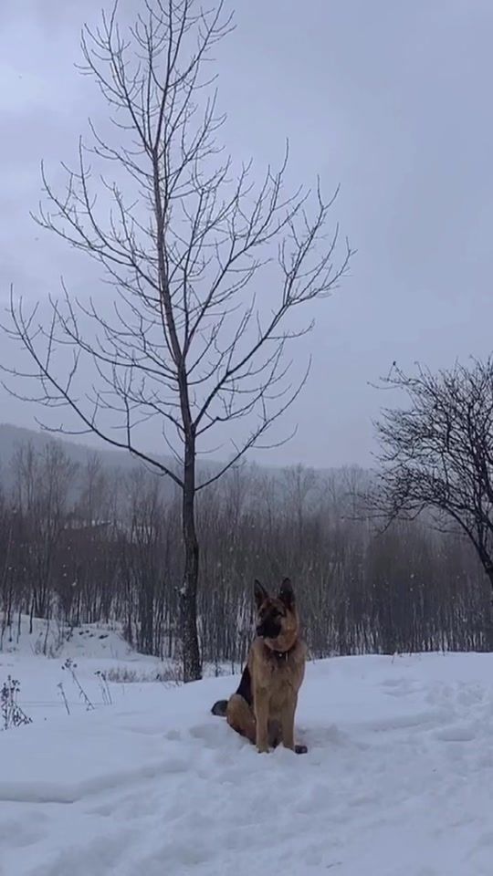 TikTok video thumbnail by marisha_mt