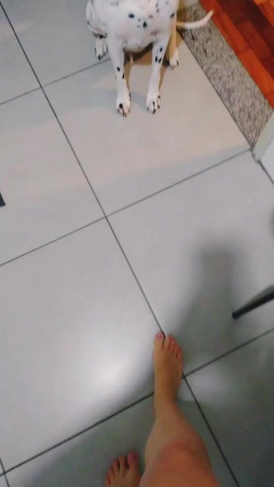 TikTok video thumbnail by billyodalmata
