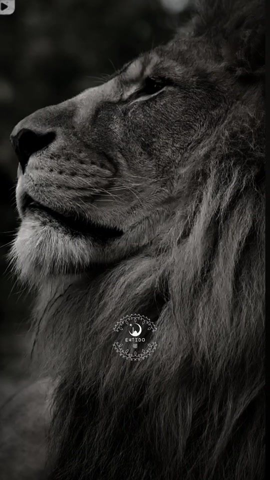 TikTok video thumbnail by ehtido