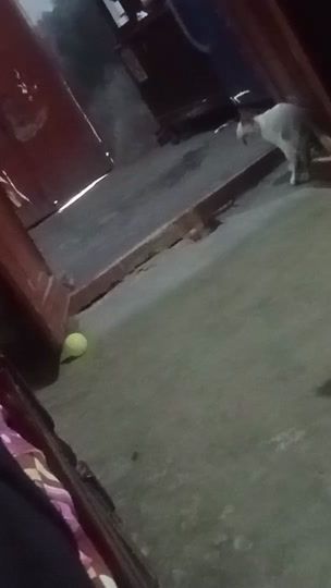 TikTok video thumbnail by muhammadiftikhar033