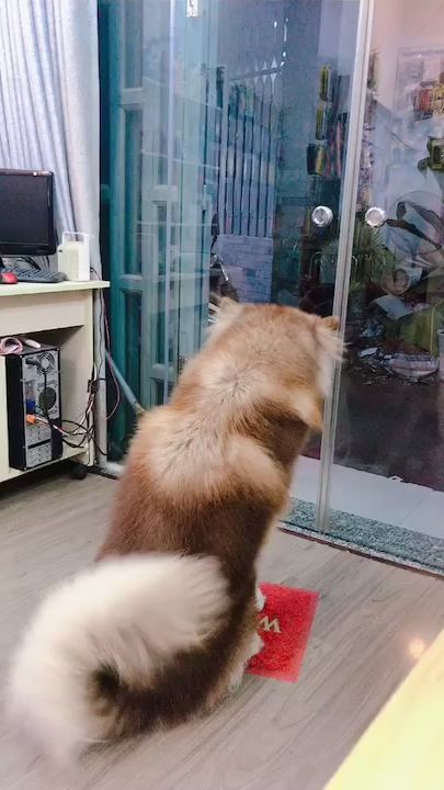 TikTok video thumbnail by sun21129x
