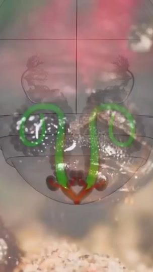 TikTok video thumbnail by itsmalikoficial