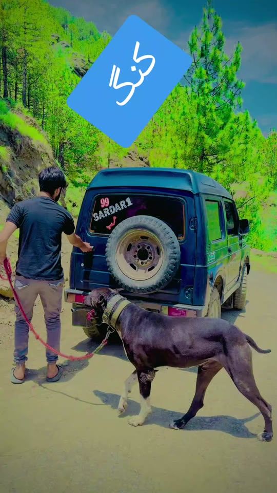 TikTok video thumbnail by kingkashmirpowergroup99