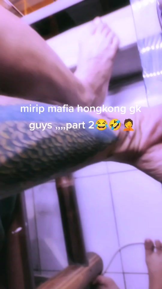 TikTok video thumbnail by frans_frans282