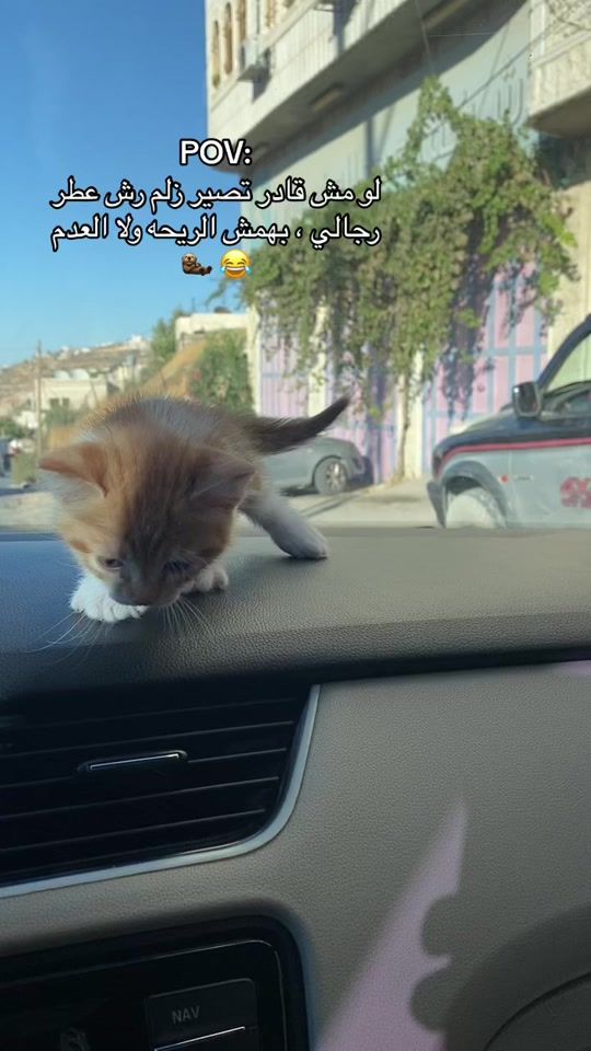 TikTok video thumbnail by abdojaradat
