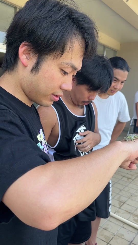 TikTok video thumbnail by fischershome