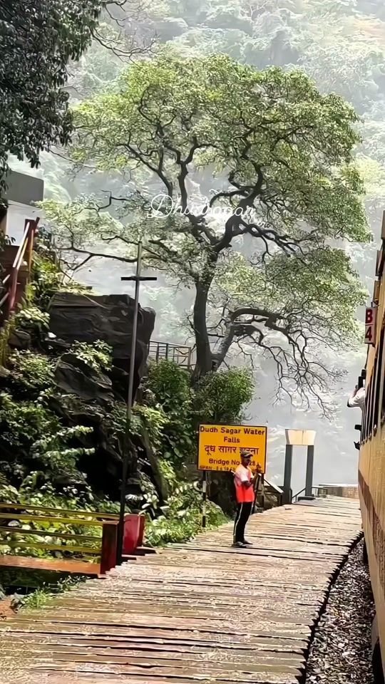 TikTok video thumbnail by shambhu4935