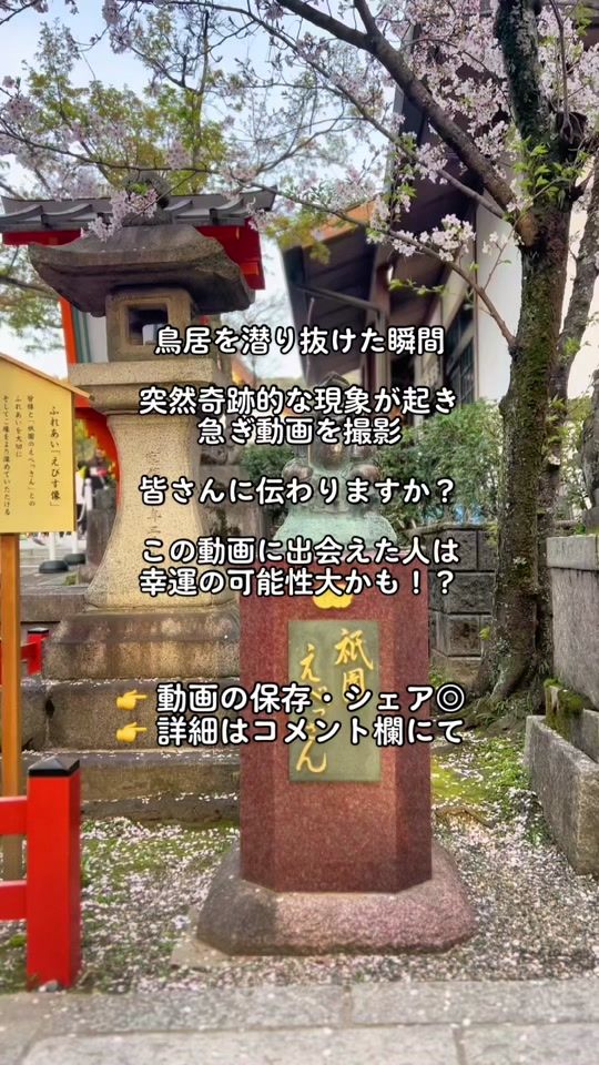 TikTok video thumbnail by d_kamegai