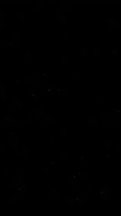 TikTok video thumbnail by seaax_