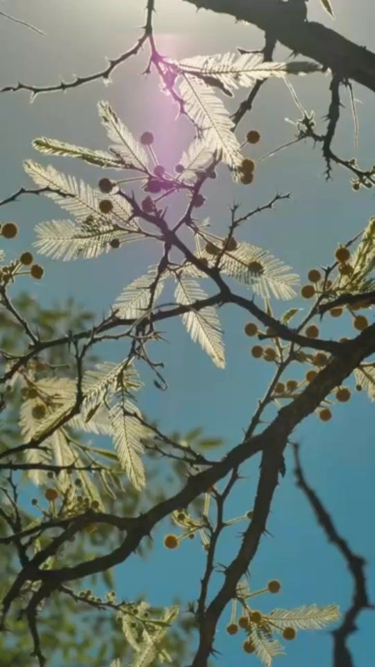 TikTok video thumbnail by live_love85