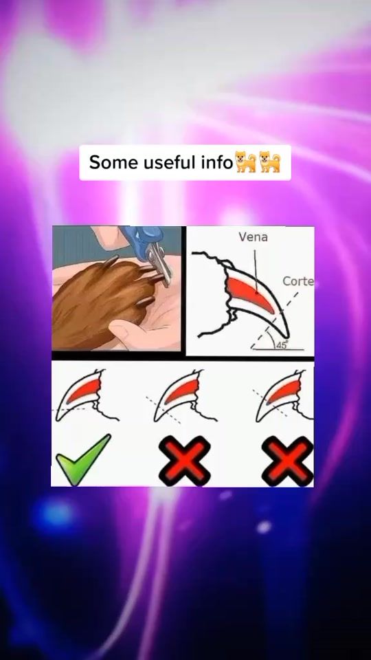 TikTok video thumbnail by yashlyn