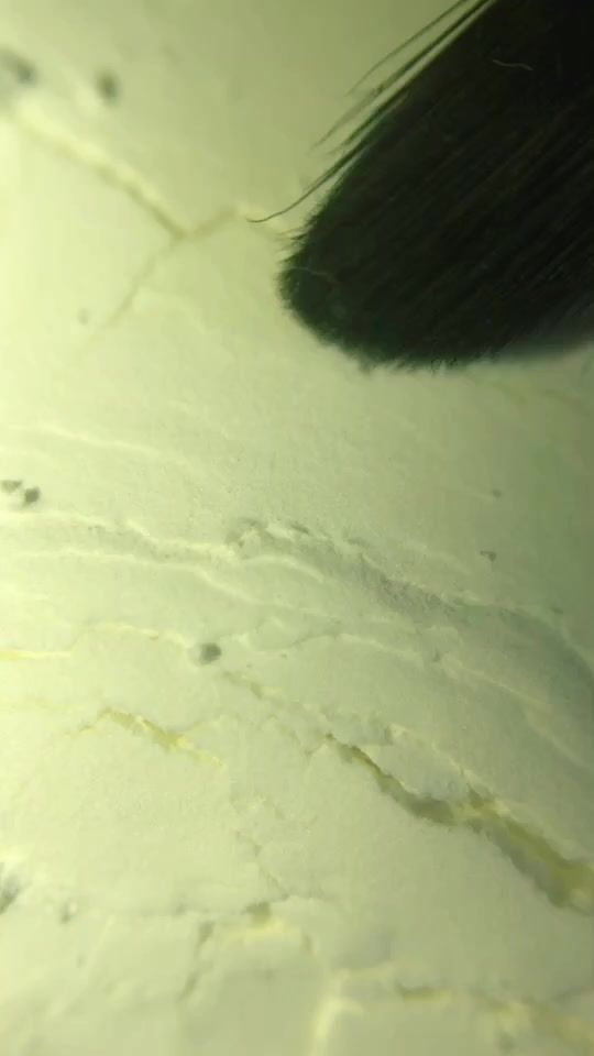 TikTok video thumbnail by blissclxud..closeup