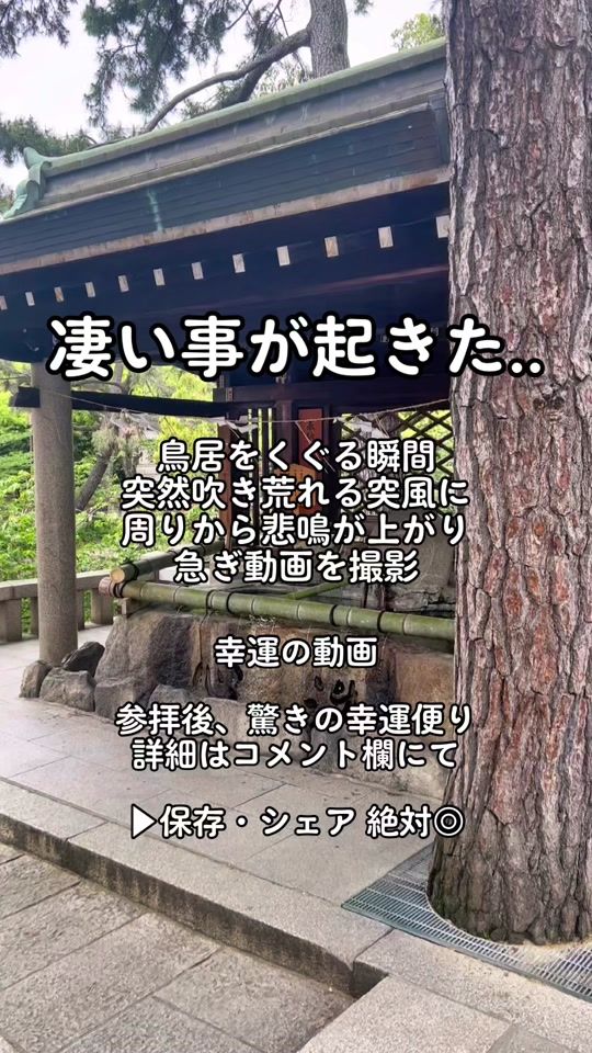 TikTok video thumbnail by d_kamegai