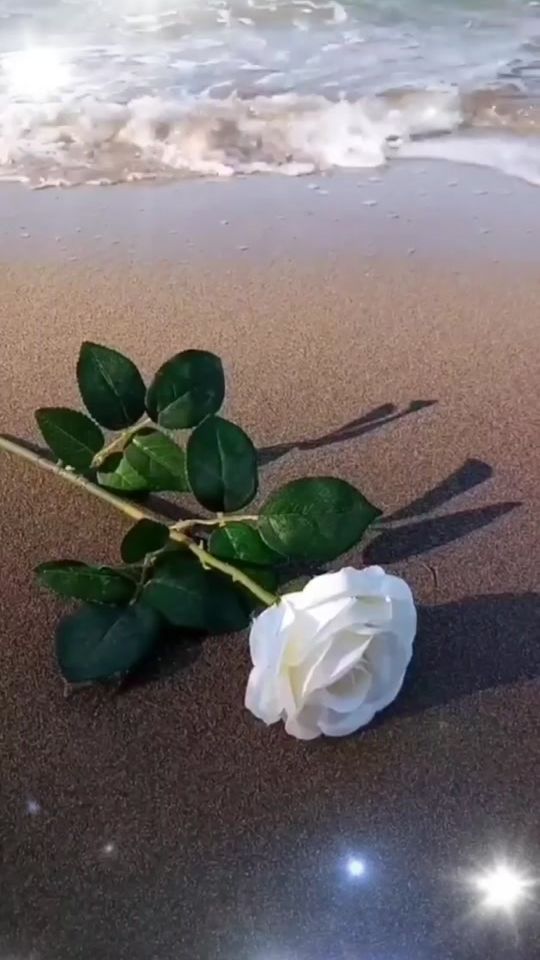 TikTok video thumbnail by lidija75