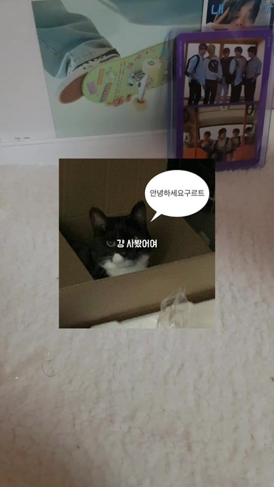 TikTok video thumbnail by txt_313_