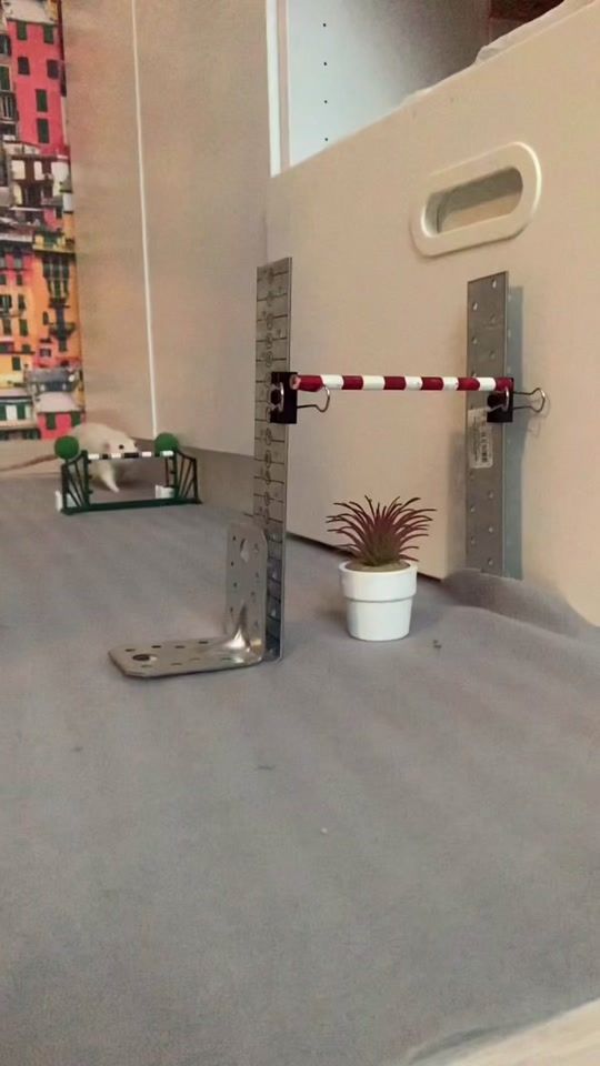 TikTok video thumbnail by rat_home_spb
