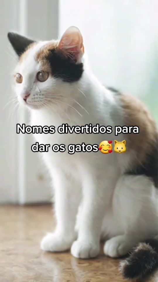 TikTok video thumbnail by ._.aesthetic.08