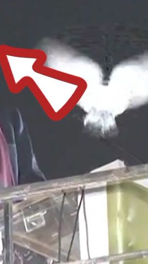 TikTok video thumbnail by ghaffarali46
