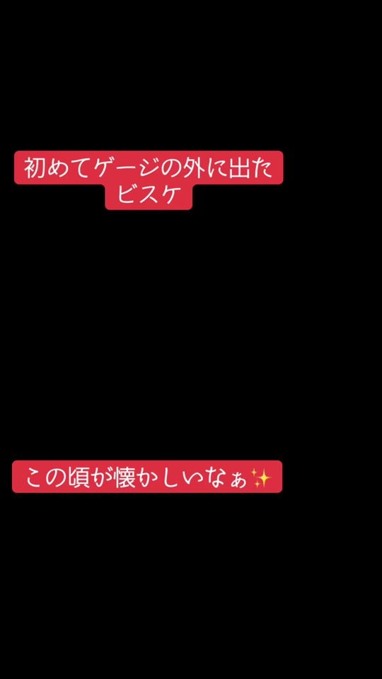 TikTok video thumbnail by bisukechannel