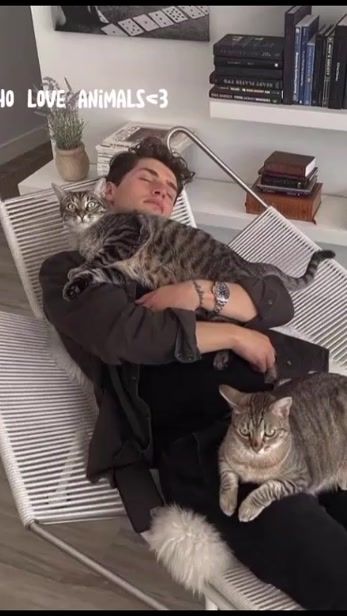 TikTok video thumbnail by coffeebeanie7