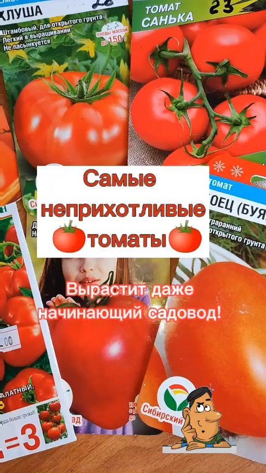 TikTok video thumbnail by pro.tzvetok