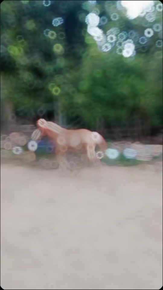 TikTok video thumbnail by hninwaikhing53