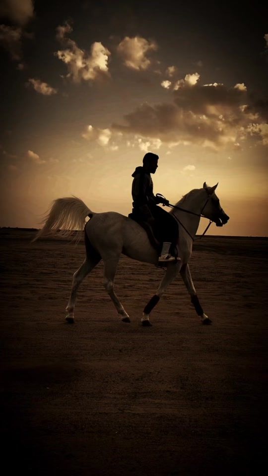 TikTok video thumbnail by 3bady766